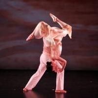 Amanda Selwyn Dance Theatre's Crystal White Gala Set for Tonight