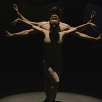 Tom Gold Dance to Return to STARS OF BALLET in Bilbao, Spain, 8/21-22