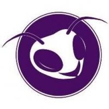 ACTION SPORTS NEWS Debuts at Planet Ant, 3/8