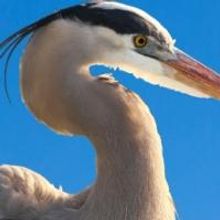 Philadelphia Theatre Company to Present VANYA AND SONIA AND MASHA AND SPIKE, 3/21-4/2