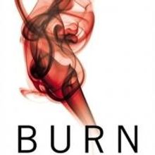 Top Reads: Maya Banks' BURN Tops New York Times Best Seller List, Week Ending 8/25