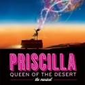 Meet the Cast of the PRISCILLA QUEEN OF THE DESERT National Tour!