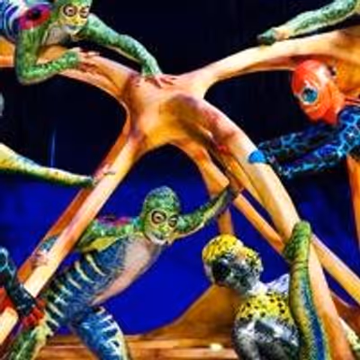 BWW Reviews: Cirque du Soleil's TOTEM