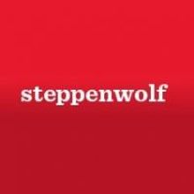 William Petersen to Star in SLOWGIRL at Steppenwolf