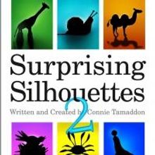New Children's Book, SURPRISING SILHOUETTES 2, Visualizes How People View the World
