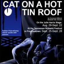 Wellfleet to Stage CAT ON A HOT TIN ROOF, Begin. 8/29