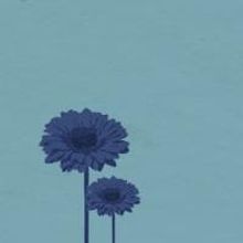 Sharon Playhouse to Host Developmental Workshop of GEORGIE: THE LIFE AND DEATH OF GEO