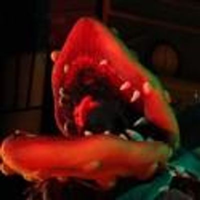 BWW Reviews: THE LITTLE SHOP OF HORRORS at Broadway Rose, a Well-Casted, 1950s B-Movie Romp