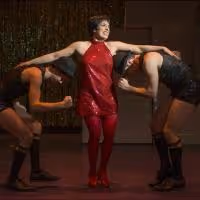 Photo Flash: New Production Shots from About Face Theatre's WE THREE LIZAS