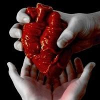 BWW Reviews: Grain of Sand Theatre Presents TELL-TALE at Capital Fringe
