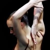 Dance Theatre of Tennessee Presents EAST MEETS WEST This Weekend