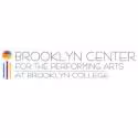 Brooklyn Center for the Performing Arts Presents THE VELVETEEN RABBIT, 11/11