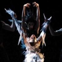 BWW Reviews: LES BALLETS DE MONTE CARLO Brings Jean-Christophe Maillot's Darkly…