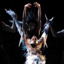 BWW Reviews: LES BALLETS DE MONTE CARLO Brings Jean-Christophe Maillot's Darkly Compe