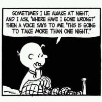 BWW Reviews: Cartoons as Art: It's No Joke