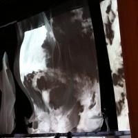 Basil Twist's THE RITE OF SPRING Premieres Tonight at Lincoln Center
