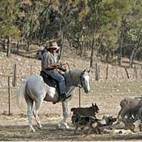 Aussie Farmstay & Bush Adventures Offering Farmstay Trips in 2014