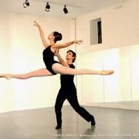 BWW Interviews: Fabrice Herrault, Dance Historian/Film-Maker