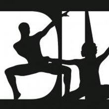 Dance Institute Of Washington Welcomes Crista Villella to Artistic Staff