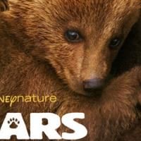 VIDEO: First Look - All-New Trailer for Disneynature's BEARS Video