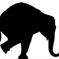 Elephant Theatre Company Announces Upcoming Season