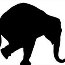 Elephant Theatre Company Announces Upcoming Season