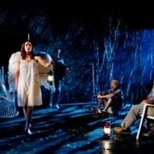 THE SEAGULL Extends Through 2/19 at Segal Centre