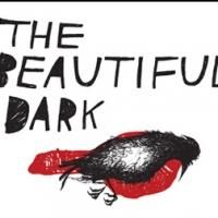 THE BEAUTIFUL DARK to Make World Premiere at Redtwist Theatre, 7/27