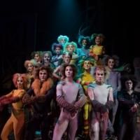 BWW Reviews: CATS at the Panasonic Theatre is a Magical Night Out! Photo