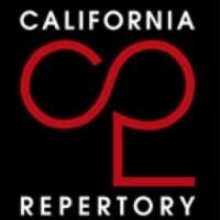 Anne D'Zmura Named New Artistic Director of Cal Rep