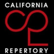 Anne D'Zmura Named New Artistic Director of Cal Rep