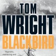BWW Reviews: BLACKBIRD Doesn't Quite Soar