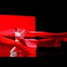Marco Armiliato to Conduct Tonight's MADAMA BUTTERFLY at the Met