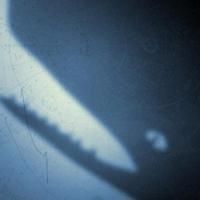Chicago Children's Theatre and Redmoon Present THE ELEPHANT AND THE WHALE, Beginning…