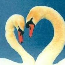 Bickford Theatre to Present Joe DiPietro's THE LAST ROMANCE, 9/26-10/13