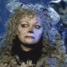 TV EXCLUSIVE: CHEWING THE SCENERY WITH RANDY RAINBOW - Elaine Stritch, Karen Olivo, CATS & More!