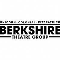 Alison Larkin to Appear at the Berkshire Festival of Women Writers, 3/9