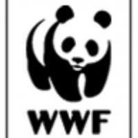 Ambassador Theatre Group Announces Earth Hour Support