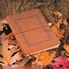 Nickie Krewson Releases New Fantasy Novel, The Poet