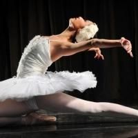 Andrea Maciel De Faria and Brooklyn Mack to Appear with Shreveport's Metropolitan…