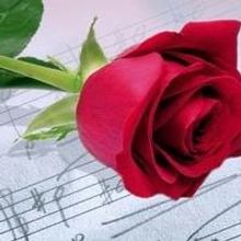 BWW Exclusive: What's the Most Romantic Broadway Love Song Ever? 1000+ Stars Tell Us!