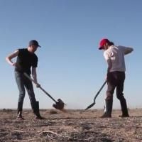 STAGE TUBE: First Look at New Trailer for Mac Barnett and Jon Klassen's SAM AND DAVE…
