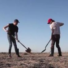 STAGE TUBE: First Look at New Trailer for Mac Barnett and Jon Klassen's SAM AND DAVE 