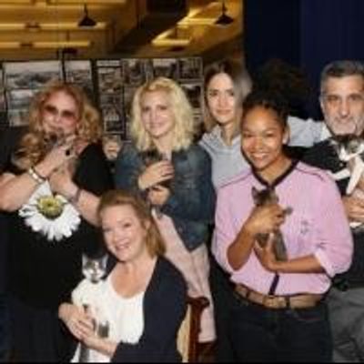 FREEZE FRAME: YOU CAN'T TAKE IT WITH YOU Auditions Kittens!