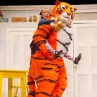 BWW Reviews: THE TIGER WHO CAME TO TEA, a delightfully whimsical interactive musical…