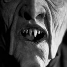 Playmill Theatre Opens House of the Seven Gables