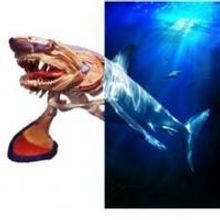 Tickets on Sale Now for the World Premiere Exhibition at the Museum of Science &…