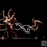 Pilobolus Returns Tonight; Program Features Collaborative Work with Penn & Teller