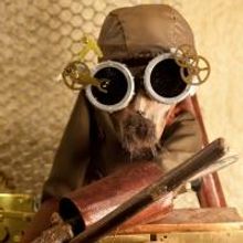 Trouble Puppet Theater Co.'s THE HEAD to Open 9/26