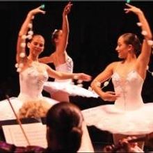 Brevard Symphony, EGAD and the King Center to Team for FALL CULTURAL ARTS SHOWCASE 20